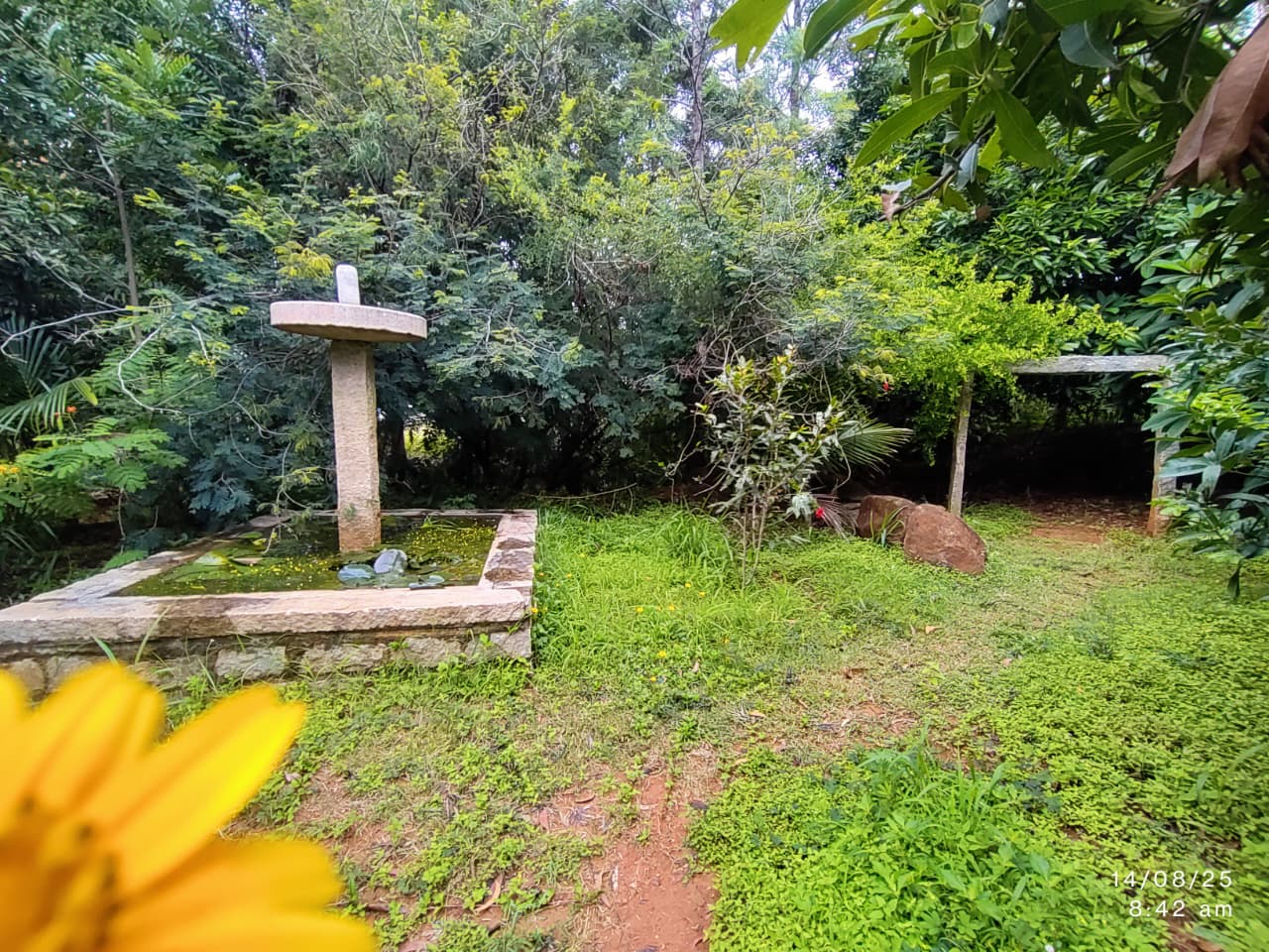 estate walk in light drizzle